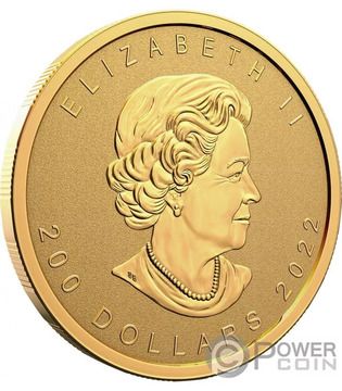 2022 200 Dollars – Elizabeth II (Ultra High Relief Gold Maple Leaf)