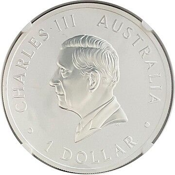 1 Dollar – Charles III (1st Portrait – Wedge-Tailed Eagle – Silver Coloured)